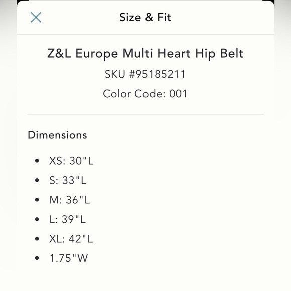 Anthropologie Z&L Europe multi heart hip belt size - Picture 5 of 8